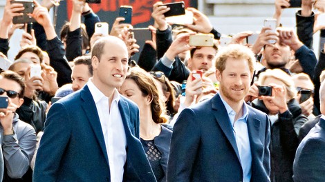 Princ Harry in princ William bosta v spomin svoji mami postavila kip