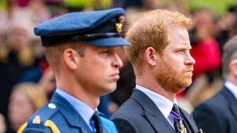 Princ Harry in princ WIlliam: Bo bratska ljubezen med njima dovolj močna ali ne? TO je v bistvu kamen spotike ...