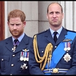 Princa William in Harry sta zaradi tega deležna kritik, a zgodba se je hitro zasukala zelooo drugače