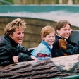 Zadnji pogovor princese Diane s sinovoma zlomi srce: "Do konca življenja bom obžaloval eno stvar, če bi le vedel"